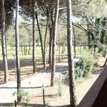 Seaside Flat In A And Quiet Area *
